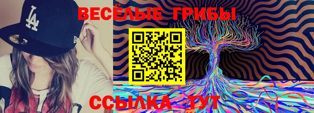 Псилоцибиновые грибы Cubensis  Вход с VPN  Петрозаводск 